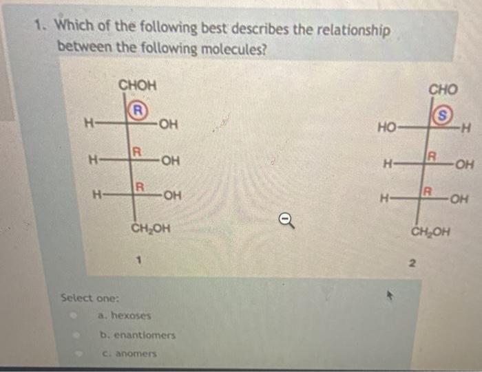 Solved 1. Which of the following best describes the | Chegg.com