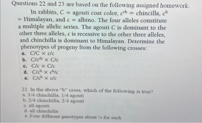 Questions 22 And 23 Are Based On The Following | Chegg.com