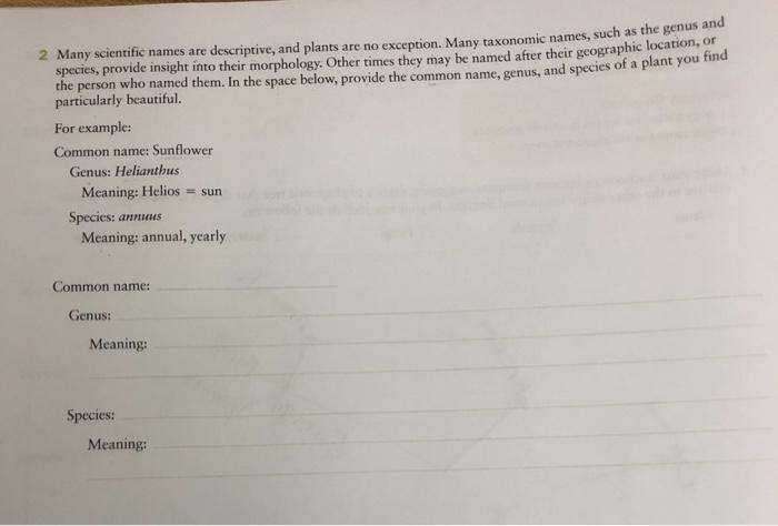 Solved 2 Many Scientific Names Are Descriptive And Plants Chegg Com