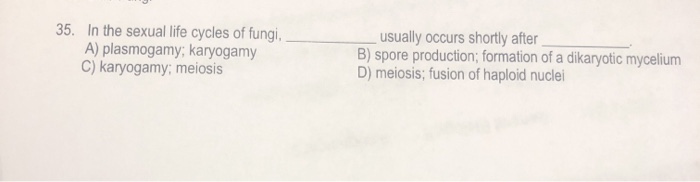 Solved 35. In the sexual life cycles of fungi, A) | Chegg.com