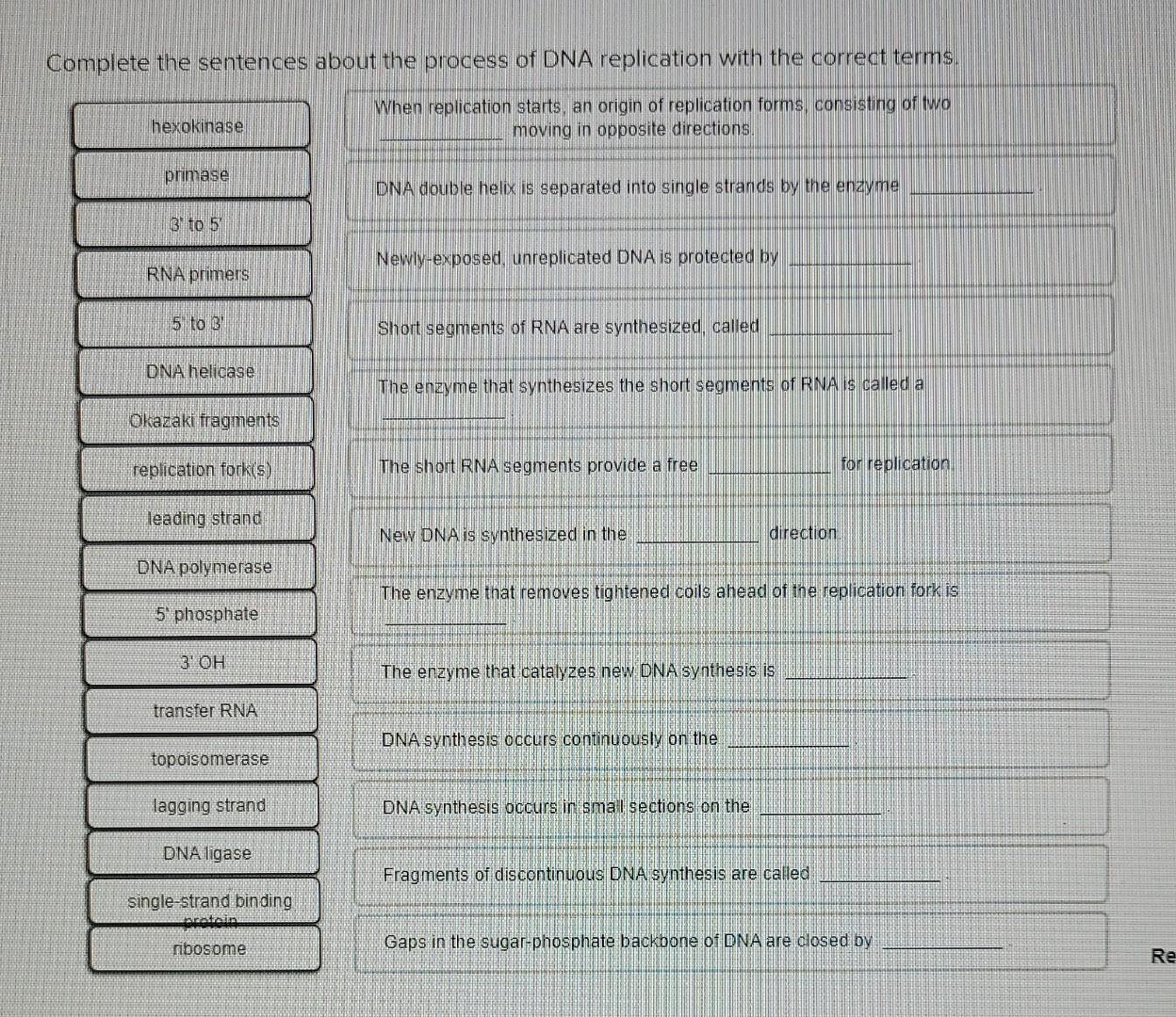 Solved Complete the sentences about the process of DNA | Chegg.com