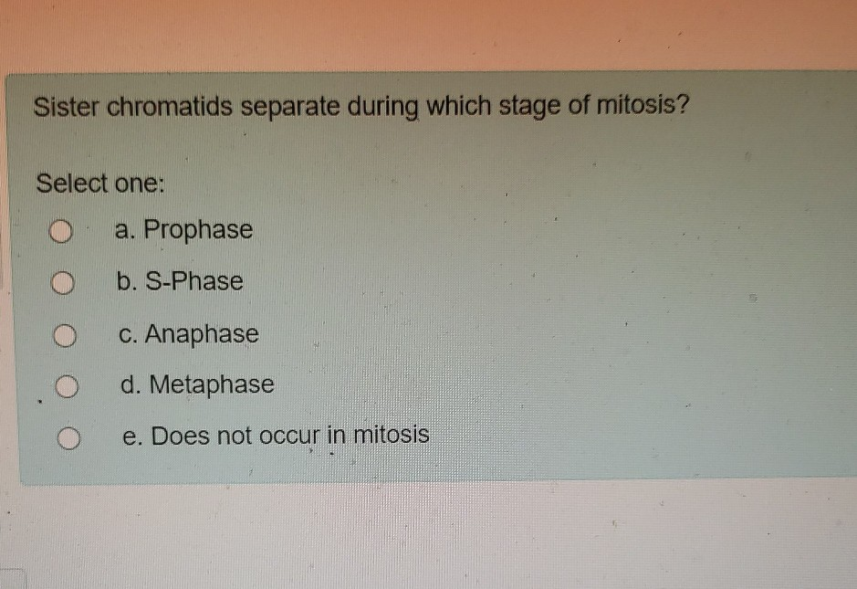 Solved Sister chromatids separate during which stage of