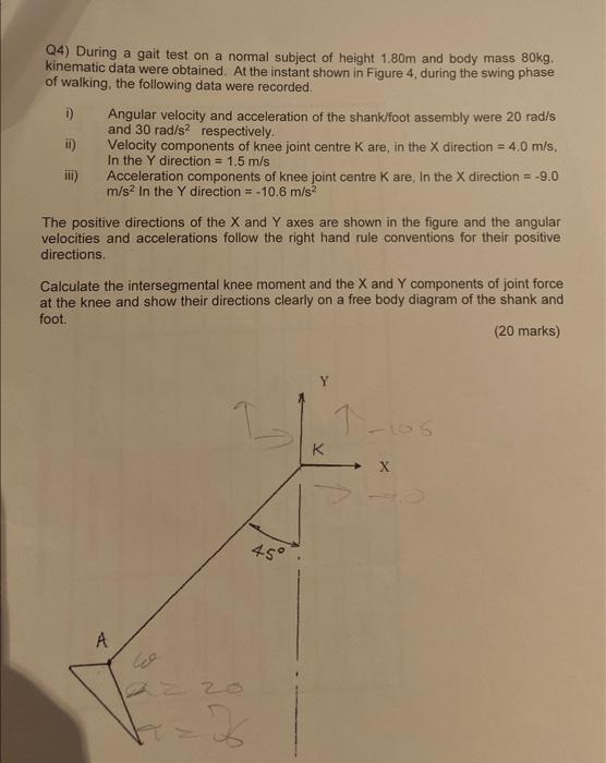 Solved Q4) During a gait test on a normal subject of height | Chegg.com