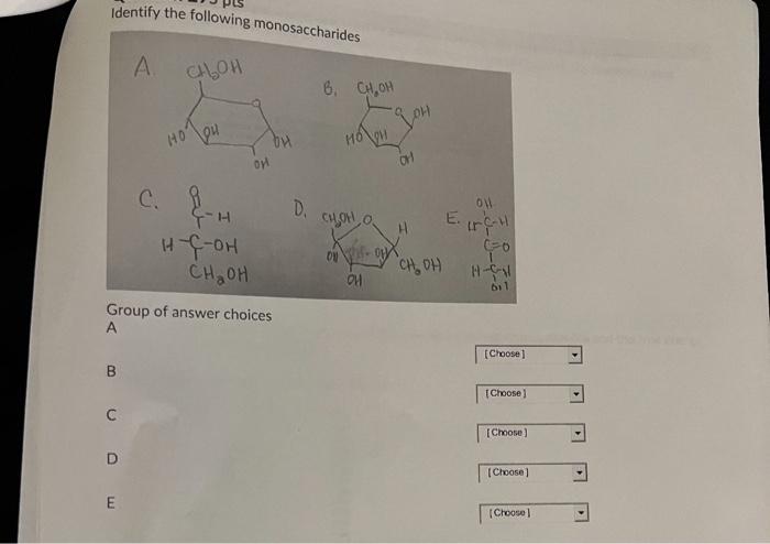 Solved Identify The Following Monosaccharides А Choh 6 Ooh