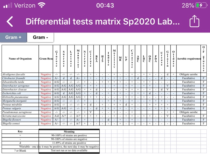 Solved 7 Below Is An Msa Plate Inoculated With Bacteria Chegg Com