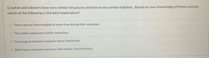 Solved Which Of The Statements Is Correct? A. B. C. D. Ais | Chegg.com