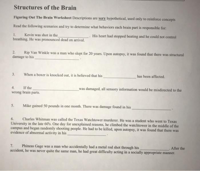 Solved Structures of the Brain Figuring Out The Brain | Chegg.com