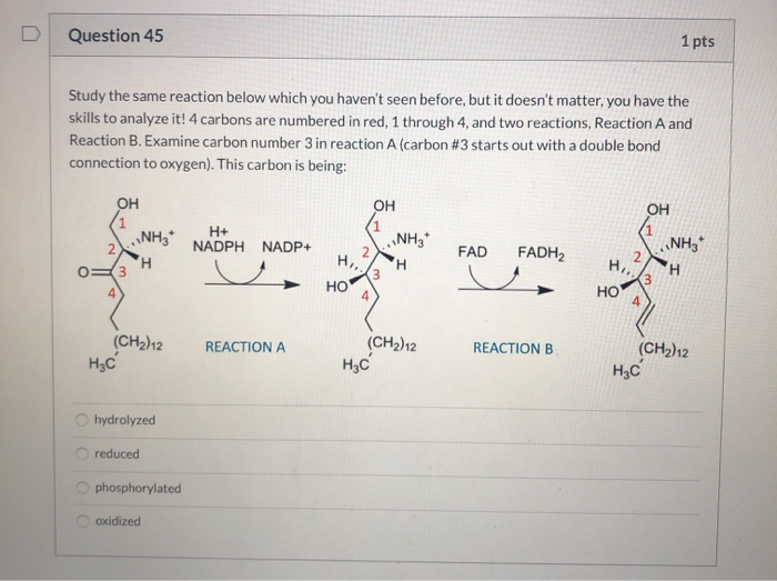 Solved Question 44 1 pts Study the reaction below which you | Chegg.com