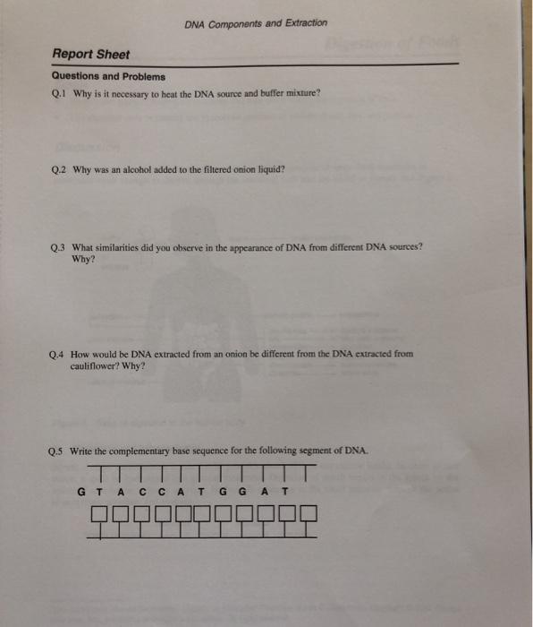 Solved DNA Components and Extraction Report Sheet Questions | Chegg.com