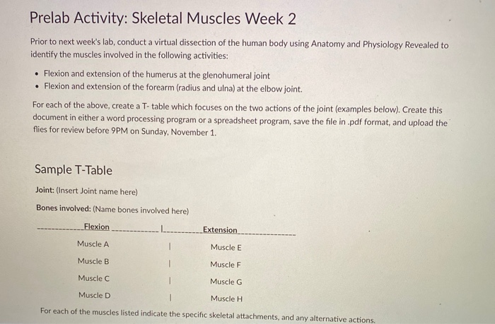 Solved Prelab Activity: Skeletal Muscles Week 2 Prior to | Chegg.com