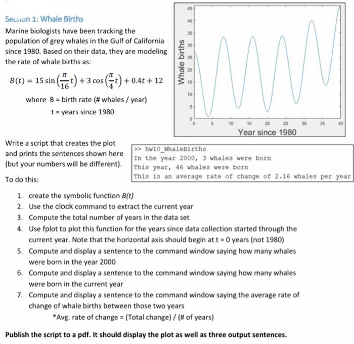Solved 40 35 Section 1: Whale Births Marine Biologists Have | Chegg.com