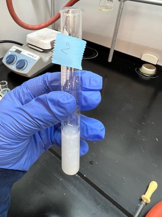 Preparation for Soap Lab A. Emulsifying Properties