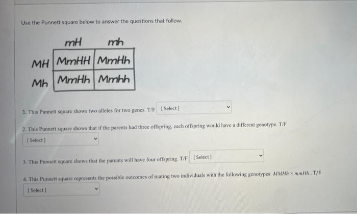 Solved Use The Punnett Square Below To Answer The Questions | Chegg.com