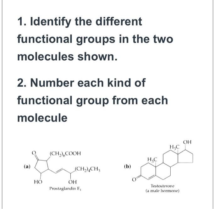 Solved 1. Identify the different functional groups in the | Chegg.com