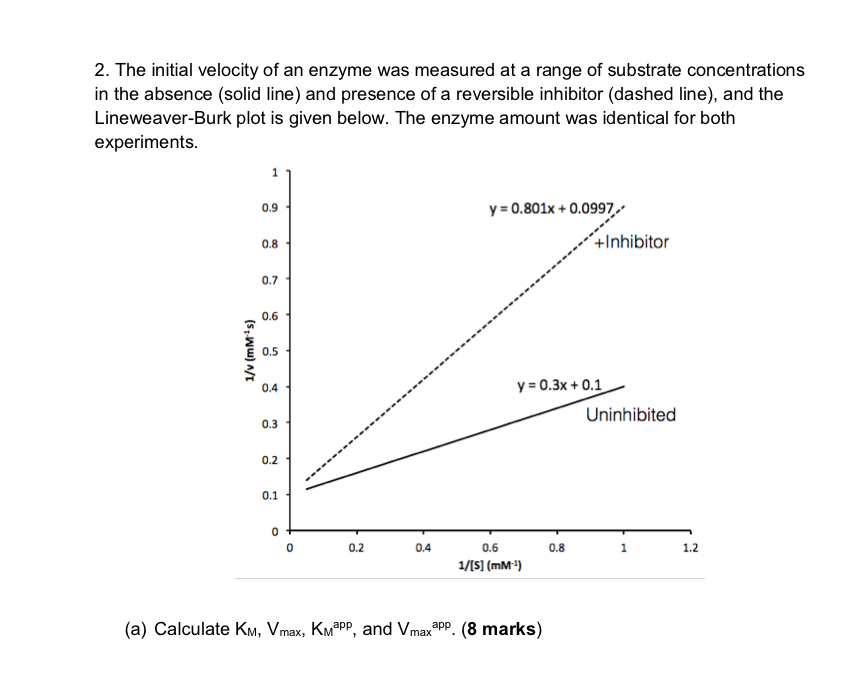 Solved The initial velocity of an enzyme was measured at a | Chegg.com