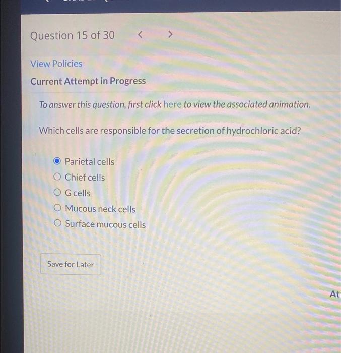 Solved To answer this question, first click here to view the | Chegg.com