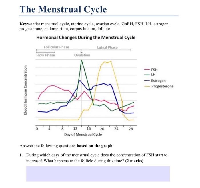 during which days of the menstrual cycle does the level of fsh