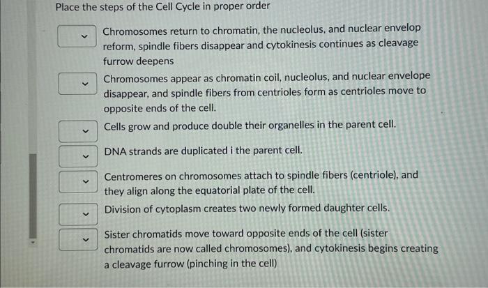 Solved Place the steps of the Cell Cycle in proper order | Chegg.com