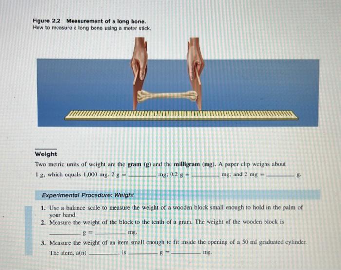 Solved 1. Use a balance scale to measure the weight of a | Chegg.com