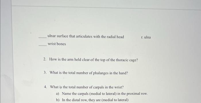 Solved Fvareice 1 A Review Sheet The Annendieular Chegg