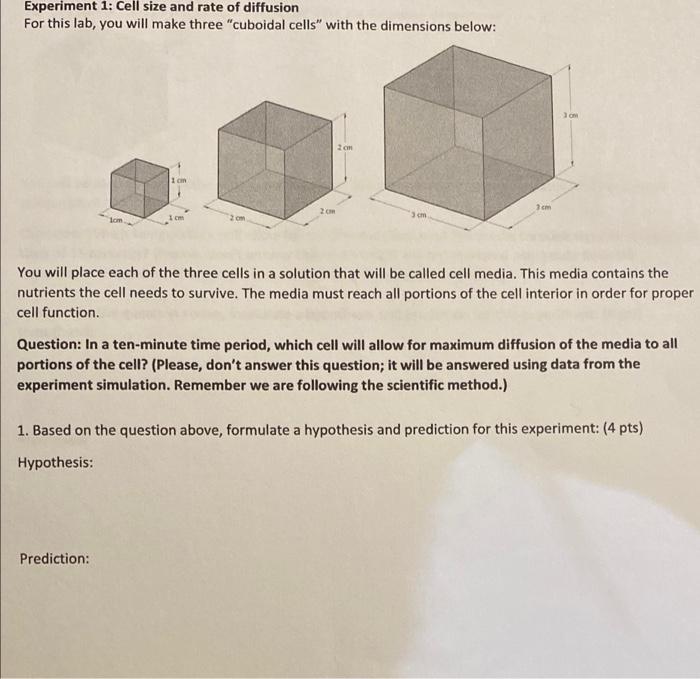 hypothesis for surface area experiment