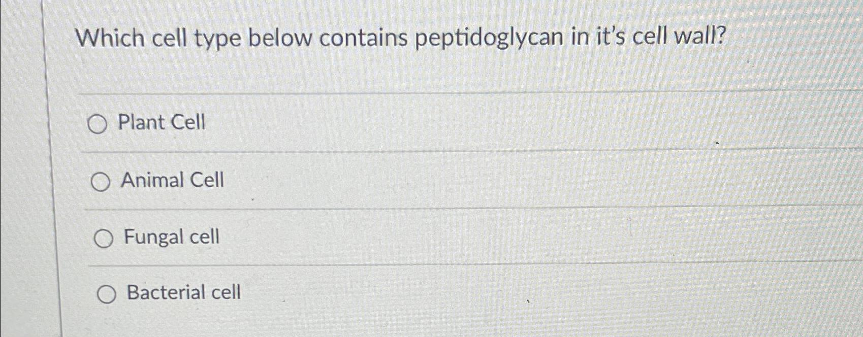 Solved Which cell type below contains peptidoglycan in it's | Chegg.com