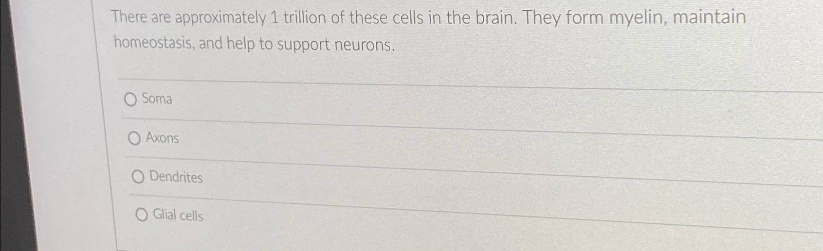 Solved There are approximately 1 ﻿trillion of these cells in | Chegg.com