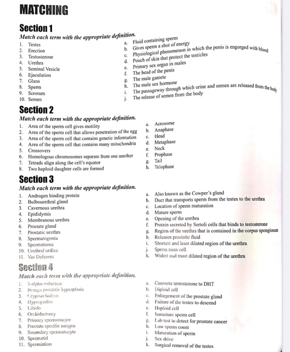 Solved MATCHING Section 1 Match each term with the | Chegg.com