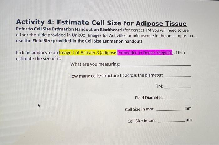 Solved help with questions on activity 4 what are you | Chegg.com