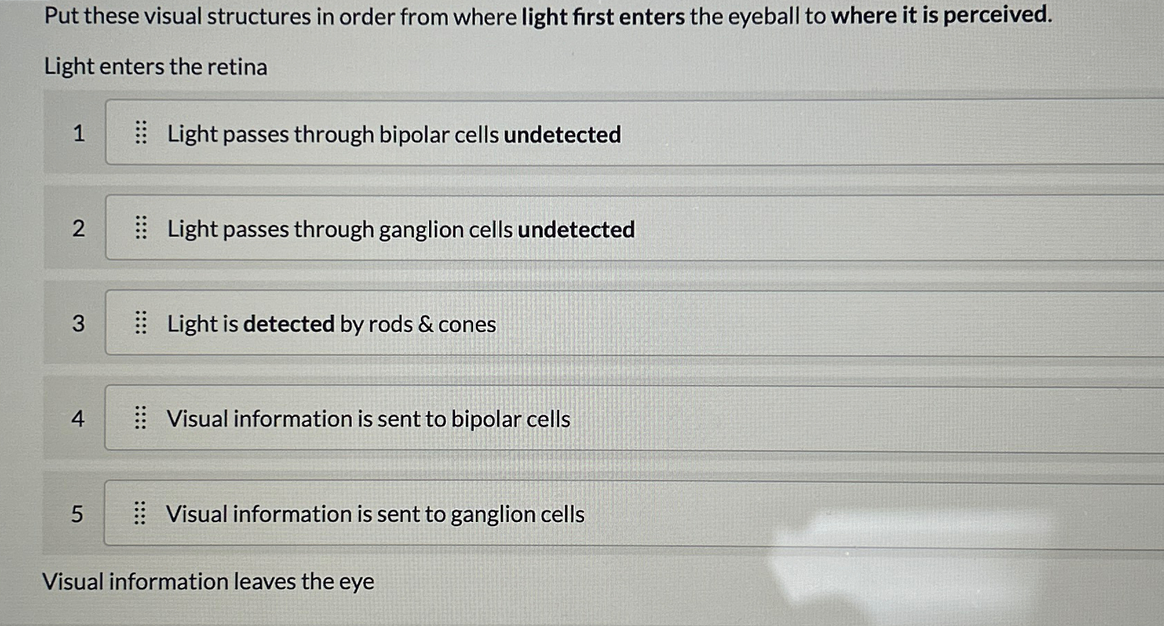 Solved Put these visual structures in order from where light | Chegg.com