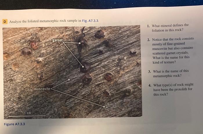 Solved D Analyze the foliated metamorphic rock sample in | Chegg.com