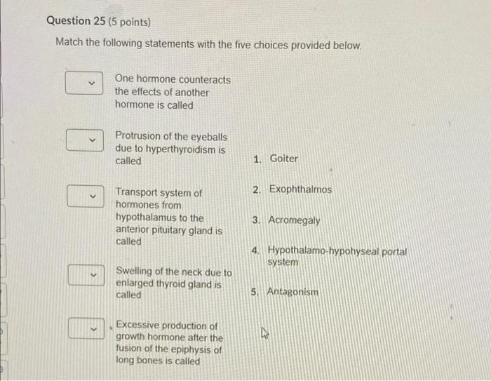 Solved Question 24 5 Points Match The Following Statements 3665