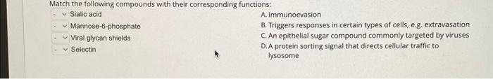 Solved Match the following compounds with their | Chegg.com