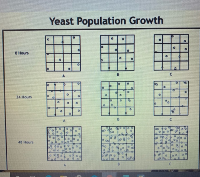 yeast population growth lab