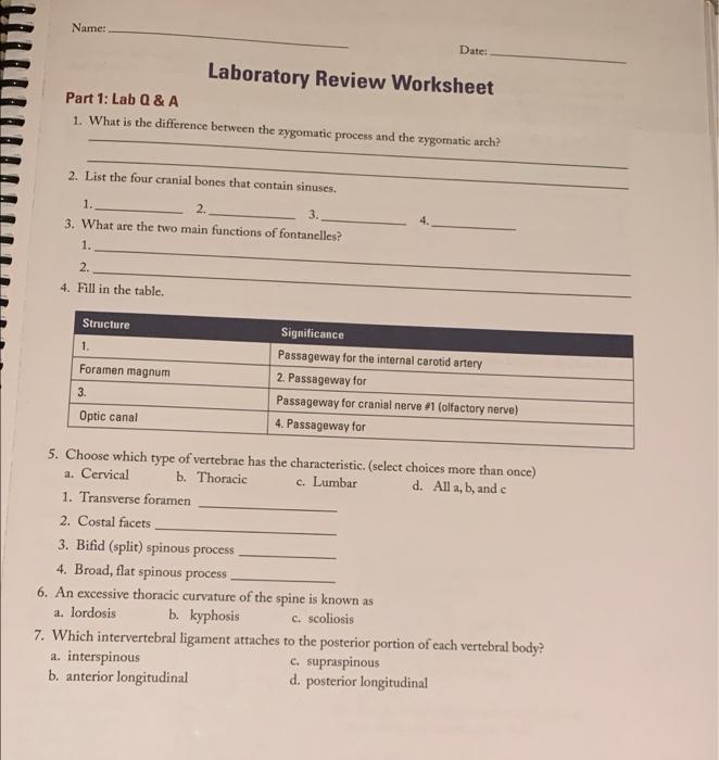 Solved Name: Date: Laboratory Review Worksheet Part 1: Lab Q | Chegg.com