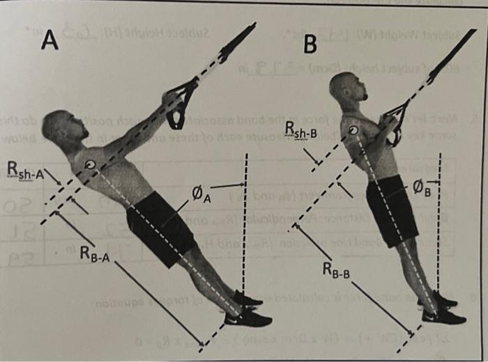 Solved b. If we were estimating the torque required to hold | Chegg.com