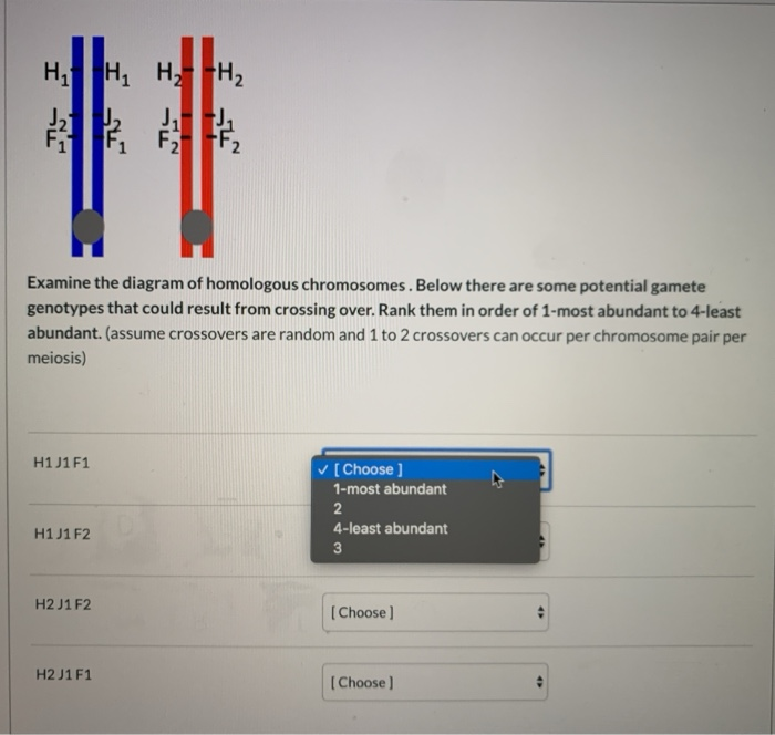 Solved Examine The Diagram Of Homologous Chromosomes. Below | Chegg.com