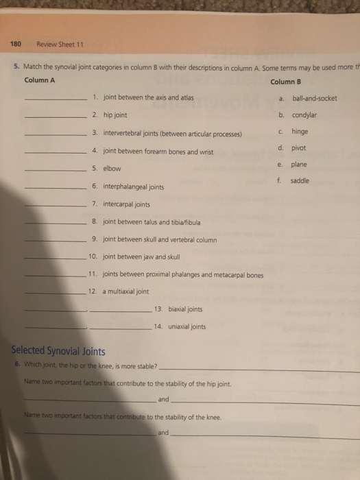 Solved 182 Review Sheet 11 Movements Allowed by Synovial | Chegg.com