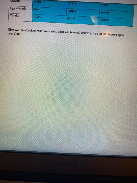 Solved Lab 10 Peptides and Proteins Team Peptide Structures | Chegg.com