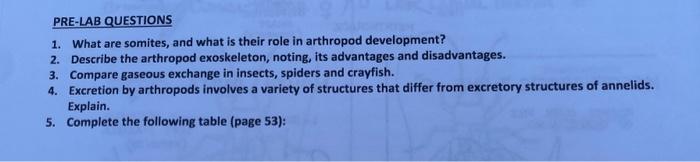 Solved Pre Lab Questions 1 What Are Somites And What Is 0363