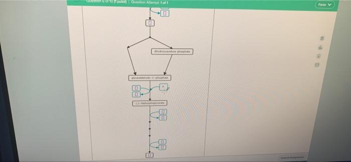 Solved Complete The Biochemical Pathway Below, Which | Chegg.com