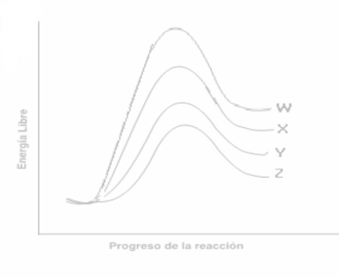 Solved 44. Consider the following energy profile for the | Chegg.com