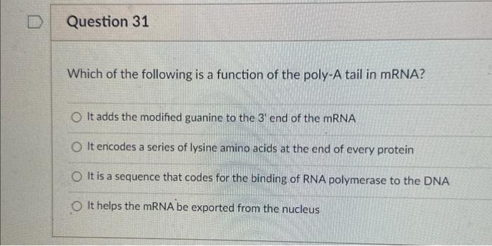 Solved Which of the following is a function of the poly-A | Chegg.com