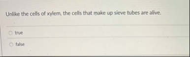 Solved Unlike the cells of xylem, the cells that make up | Chegg.com