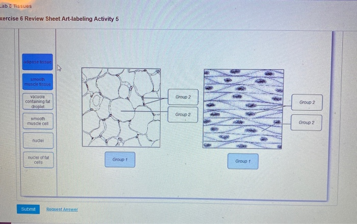 Exercise 36 Review Sheet – Art Labeling Activity 2 – Mastering the Visual Language of Art