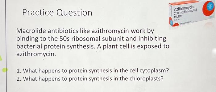 what is the mechanism of action of macrolide antibiotics like azithromycin