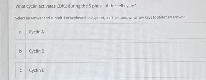 Solved Which Of The Following Is A first Responder In The Chegg