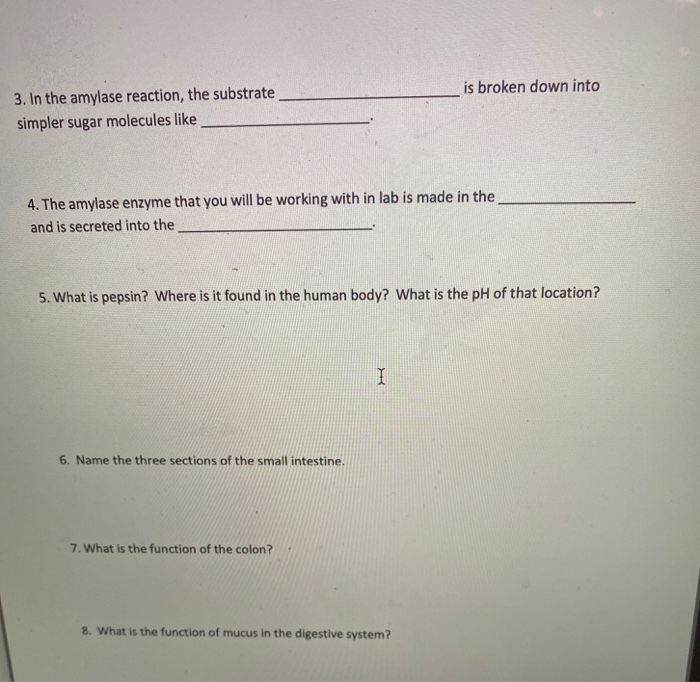 Solved is broken down into 3. In the amylase reaction, the