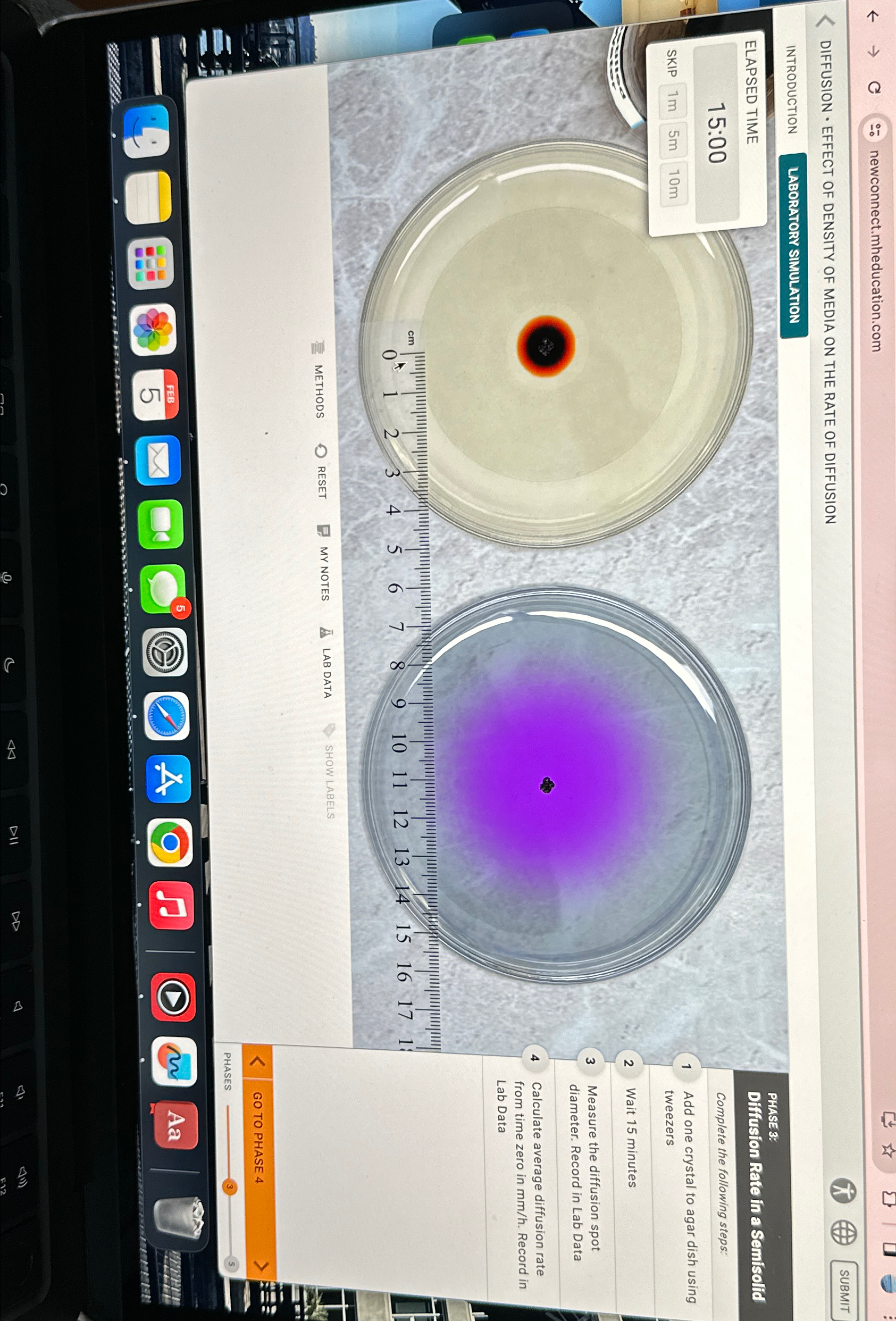 Solved DIFFUSION * EFFECT OF DENSITY OF MEDIA ON THE RATE OF | Chegg.com