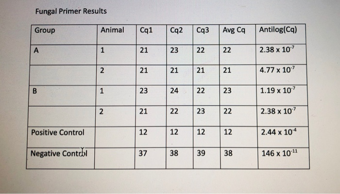 Solved Fungal Primer Results Group Animal Animal Cqi Cq2 Cq3 
